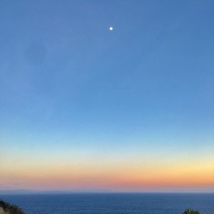 Meet your Posher, Norma